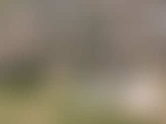 JNHOJE - Licitação de R$ 5 milhões para implantação de 2,4 km de rede de drenagem no Bairro Bandeirantes é homologada