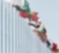 International Flags