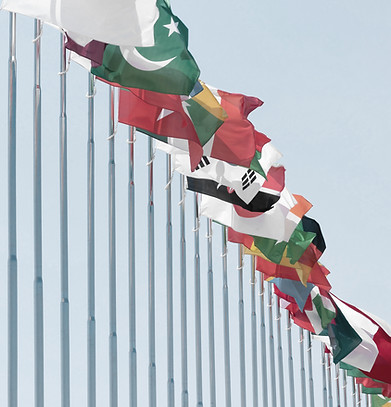 International Flags
