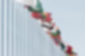International Flags