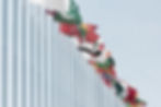 International Flags Display