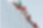 International Flags