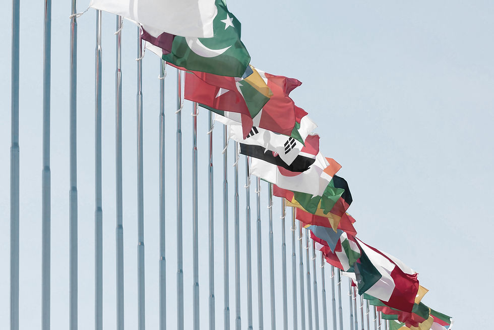 Drapeaux internationaux
