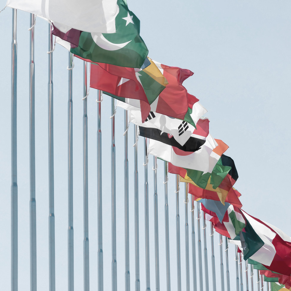 Internaional flags