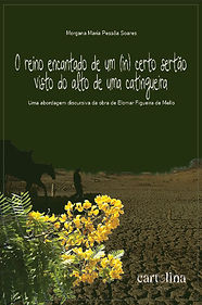 capa o reino encantado.jpg