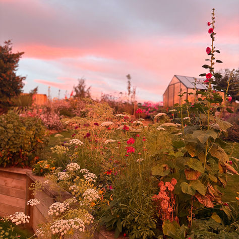 May In The Garden | It’s the time to reflect and regroup