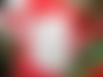 Julklappguiden för den inredningsintresserade