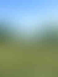 Rita och bygga sitt eget hus tomt