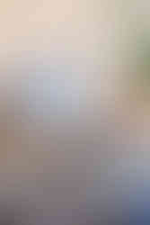 Vårens inredningstrender 2022