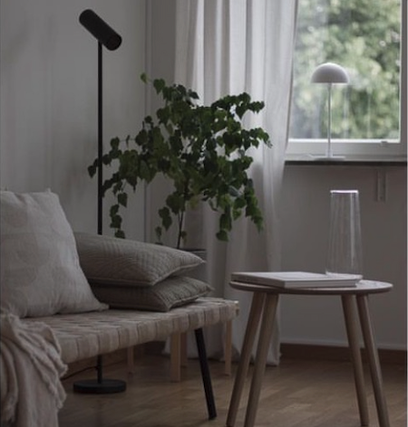 Inreda med växter
