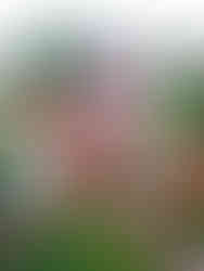 Vårens inredningstrender 2022