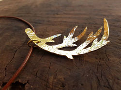 15027600_1178143575566797_7879900082717762748_n