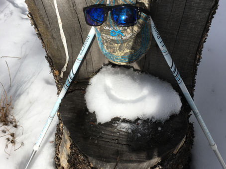 TREE TIME IN SNOWSHOES