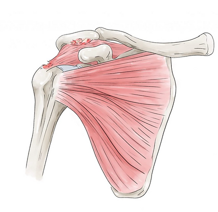Capture d’écran 2024-09-27 à 21.00.22.png
