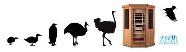 ihealth bird evolution.jpg