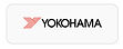 yoko.jpg