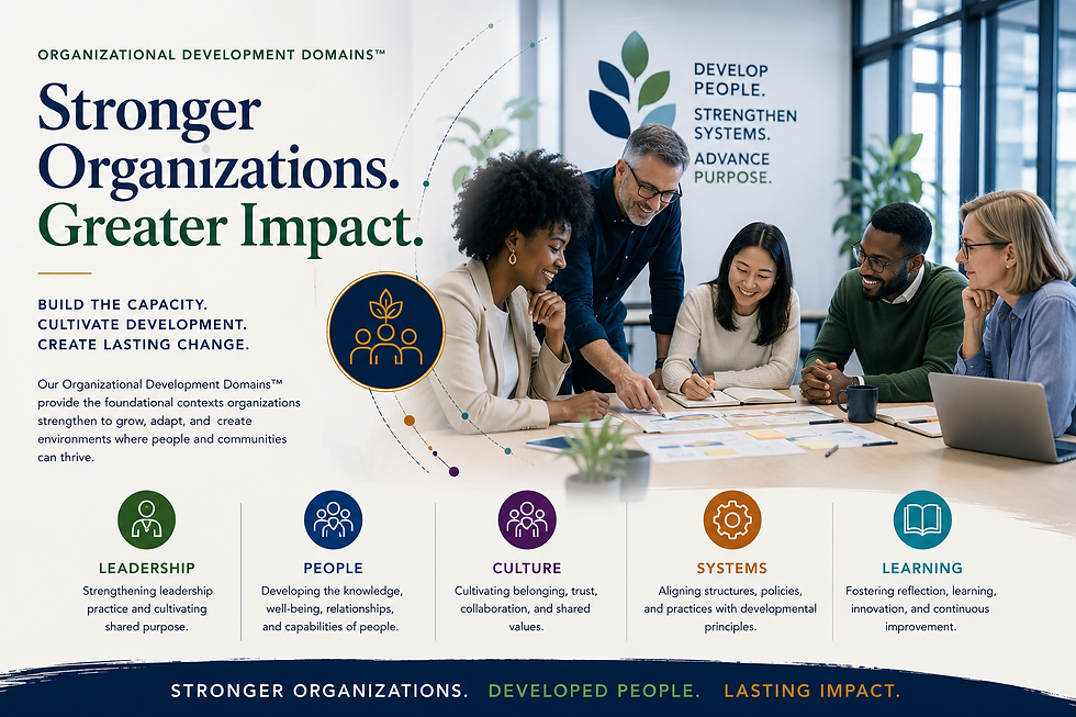 The Socio-Conscious Corner Organizational Development Domains.png