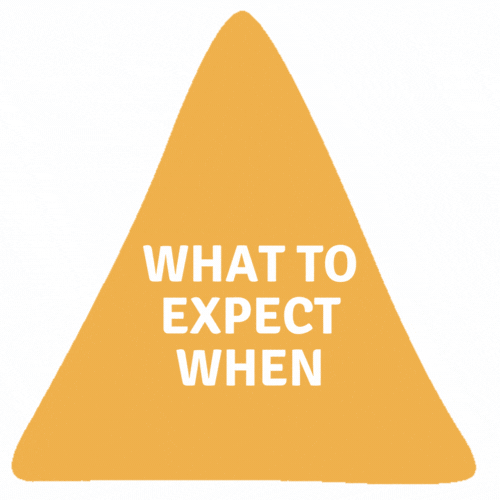 what to expect when