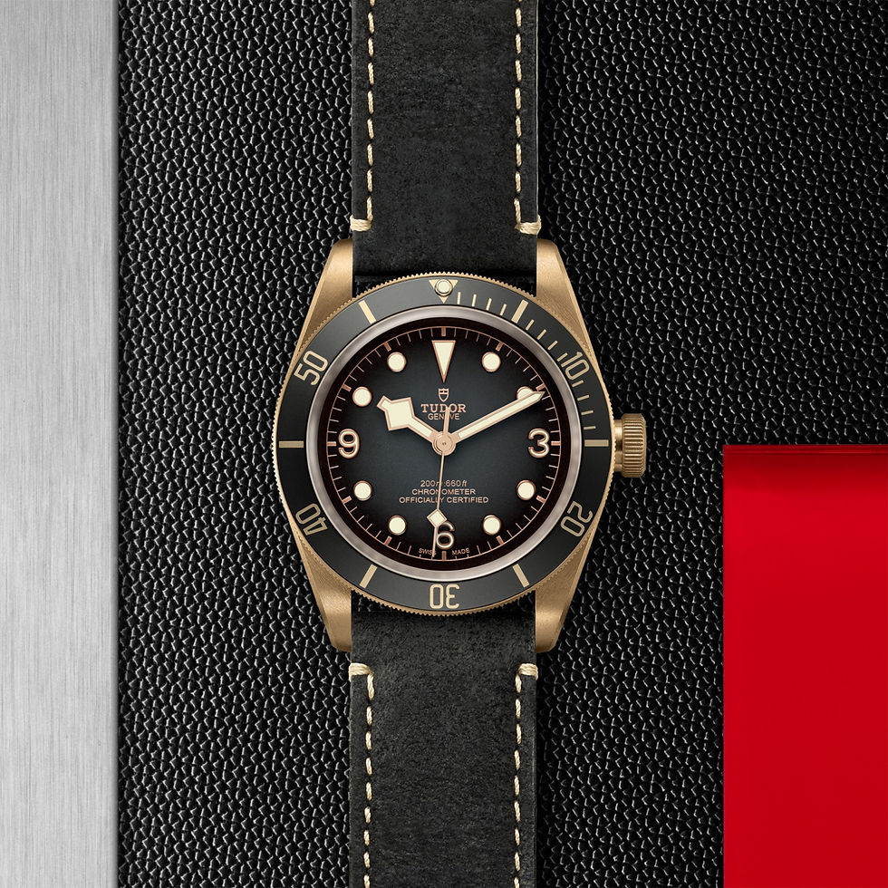 Miniature : TUDOR Black Bay Bronze 43 mm – Réf. M79250BA-0001