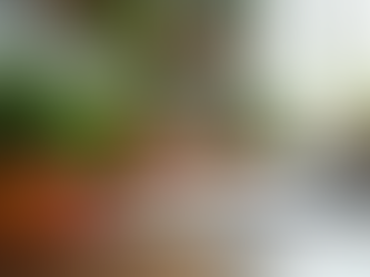 Easy Meal Planning Ideas for Every Lifestyle