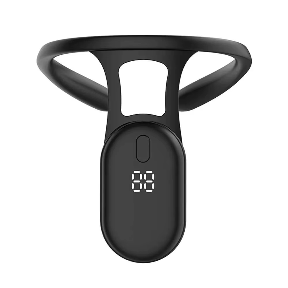 SmartPosture Pro