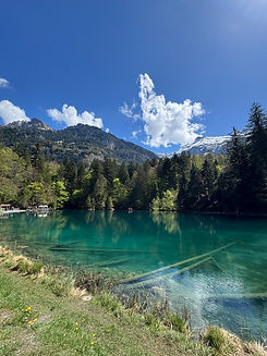 IMG_0089.JPG