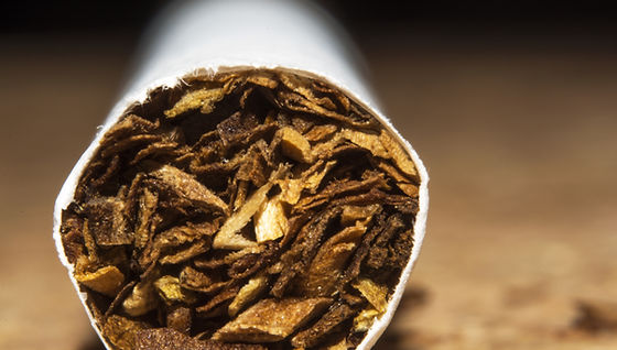 does zyn contain tobacco Is ZYN Safe? does zyn contain tobacco Is ZYN Safe?
