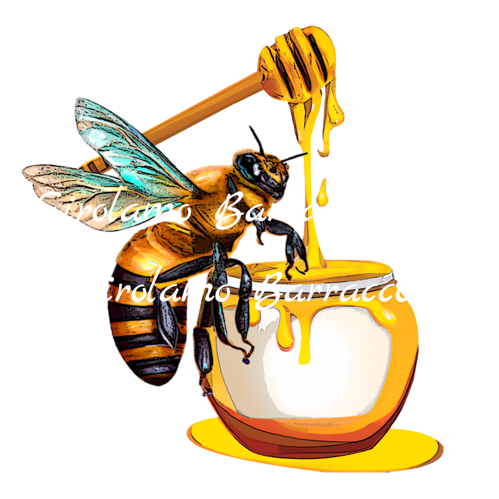 immagine 5 - png - 1024 x 1024 px