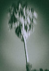DSCF2890.jpg