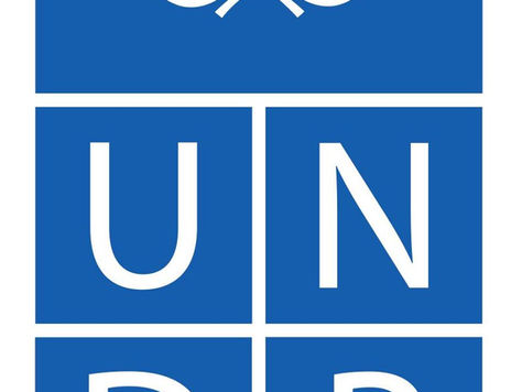 Programme Analyst - Readvertised