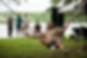 172_2023_TRIBAL FEST_MARC-ANTOINE LACOURSE_2Z97190.jpg