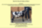 Seagal Grand_Best Udder WaterMark