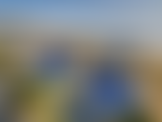 Explore Sacchi Beach Homes in Bandon, Oregon