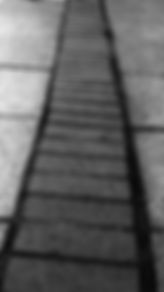 Laddering Brick Pathway.jpg
