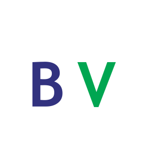 BVFinance-500x500.png