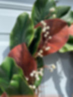 Thumbnail: Lush Green Leaf Magnolia and White Sunflower  Wreath