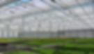 screen systems greenhouse.jpg