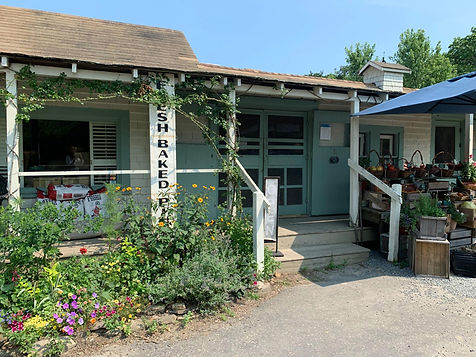 north tisbury farm marthas vineyard.jpeg
