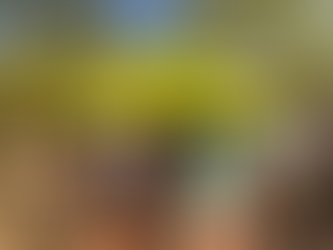 10/21/2025 - FAFO Updates! NG to Portland! Ford/Buffett/Soros funding No Kings!