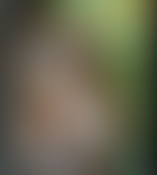 12/26/2025 - Silver broke $77 - what this means! Ghost week! Trump dropped BOOM & BOMBS!