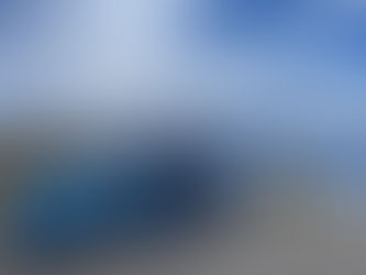 Lani Lani and THE PROMISE