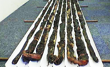Largest Biltong: 48m