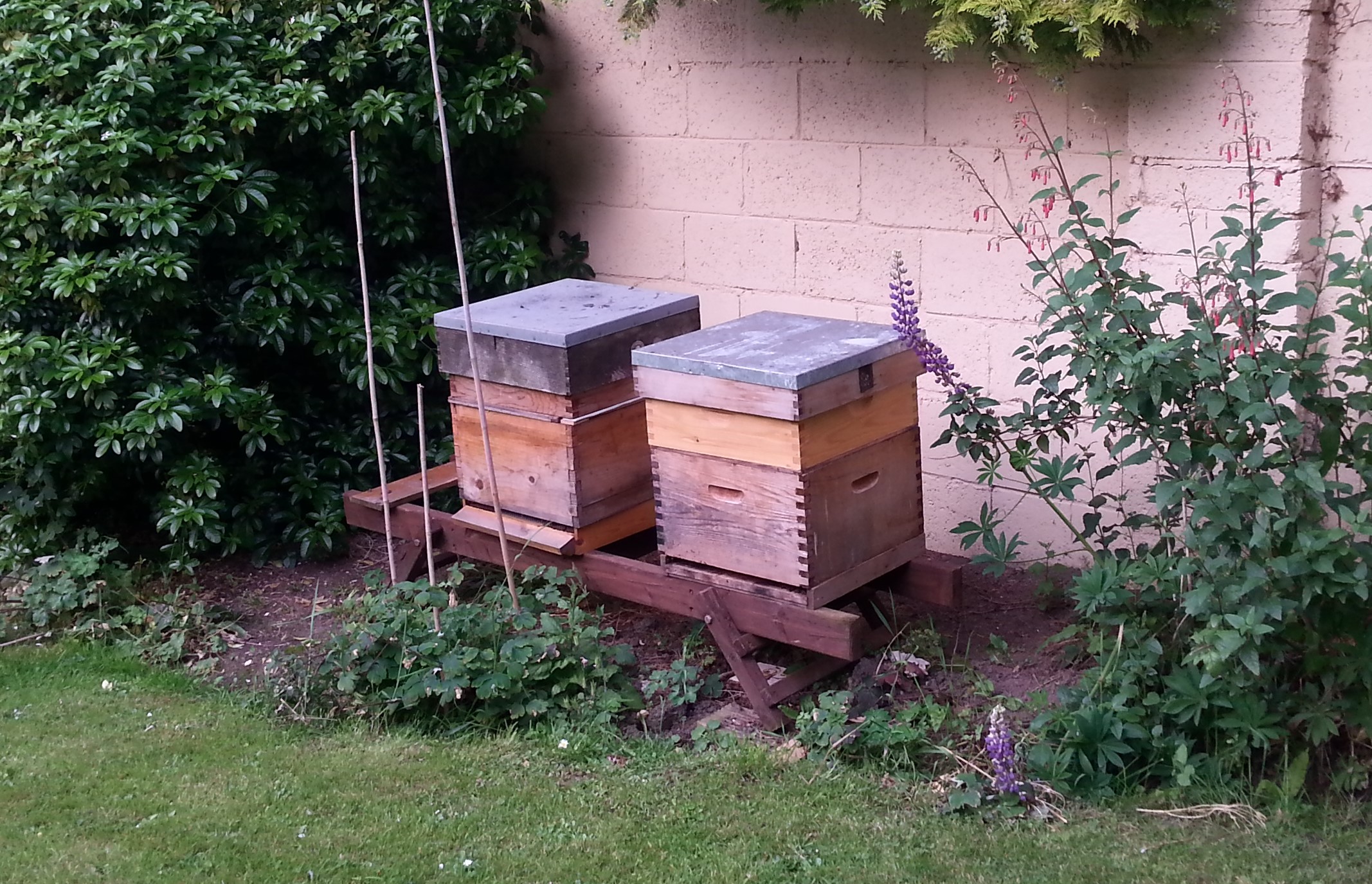 Bee hives