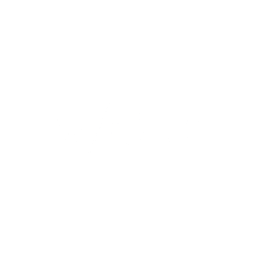 vio_logo.png