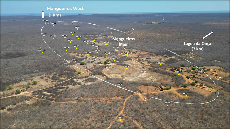 Bahia Metals Corp Mangueiros Nickel Sulphide Project in Bahia Brazil