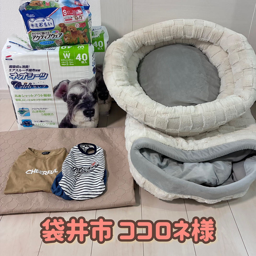 袋井市 ココロネ様