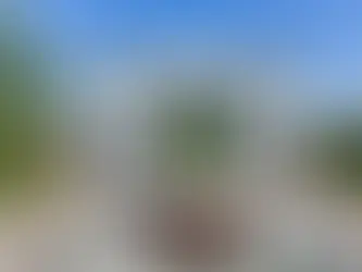 Coastal Custom Home Builder vs Production Builder in Florida: What's Better?