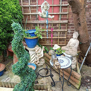 garden 4.jpeg