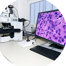 CANCER SCREENING on https://www.forhealth.ky/