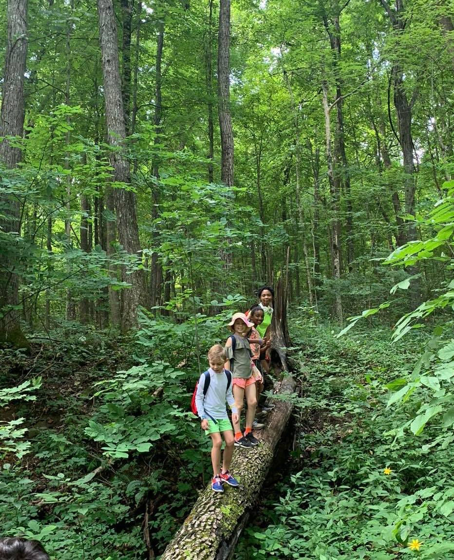 315522794_1137761910467066_3161223383353726628_n